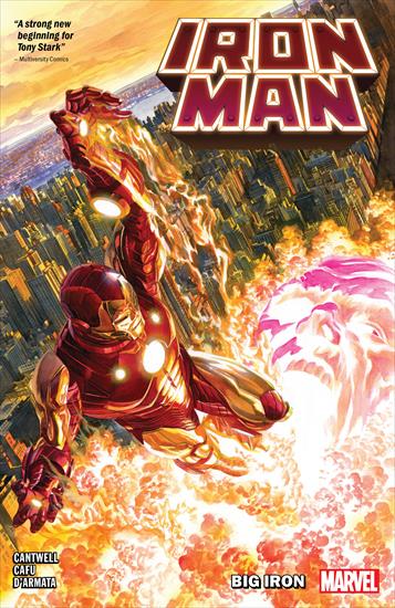 Iron Man 2020 - Iron Man v01 - Big Iron.jpg