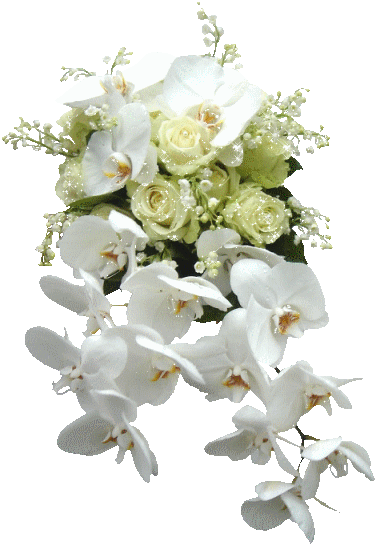 białe - Kwiaty.jpg