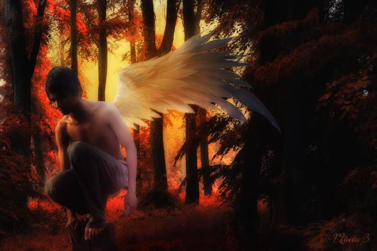 Moje prace w PS - jesienny-anioł.jpg